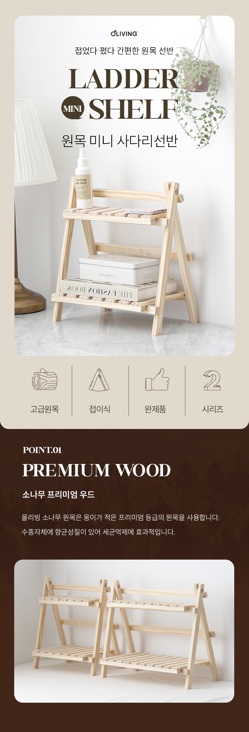 ladder_mini_shelf_01.jpg